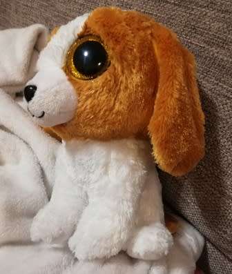 Retired and Rare. Cookie the glitter eyed dog by TY.  2013.  25cm.