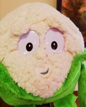 RARE Connor the Cauliflower. Goodness Gang Body Squad Soft Toy. 28cm.