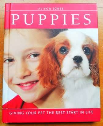 Puppies by Alison Jones. Giving your pet the best start in life! Small hard cover book.