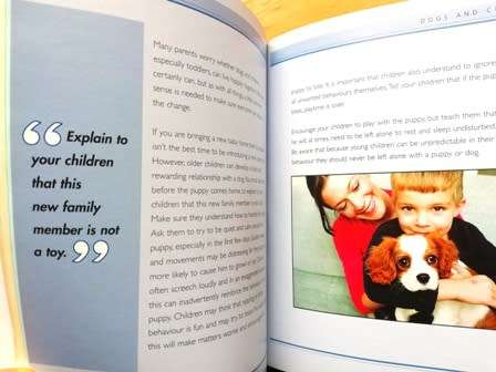 Puppies by Alison Jones. Giving your pet the best start in life! Small hard cover book.