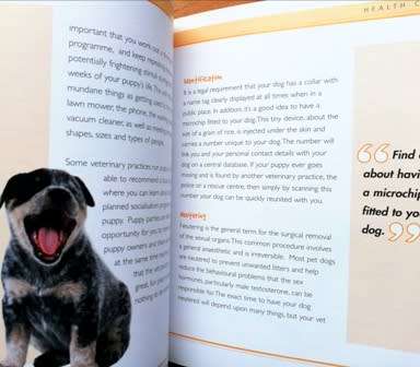 Puppies by Alison Jones. Giving your pet the best start in life! Small hard cover book.