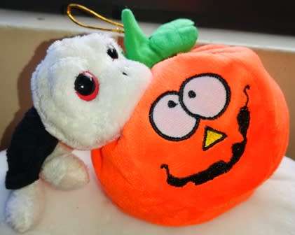Happy Halloween! "Big Head" Turtle with Fangs and "Scary" looking Pumpkin!