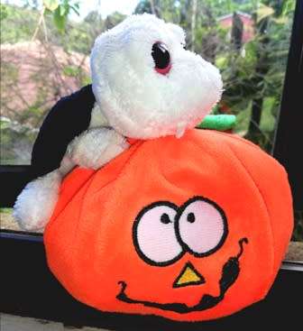 Happy Halloween! "Big Head" Turtle with Fangs and "Scary" looking Pumpkin!