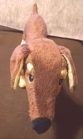 Baby`s First Dachshund called Daxi!  Super soft toy! 47cm.