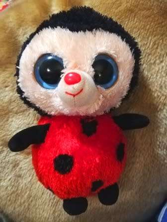 Ty Beanie Boos 2013. Bugsy the Ladybird - (Solid eye color). 17cm.