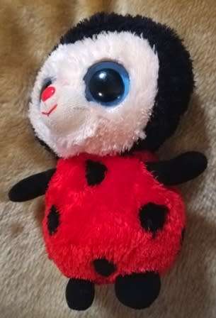 Ty Beanie Boos 2013. Bugsy the Ladybird - (Solid eye color). 17cm.