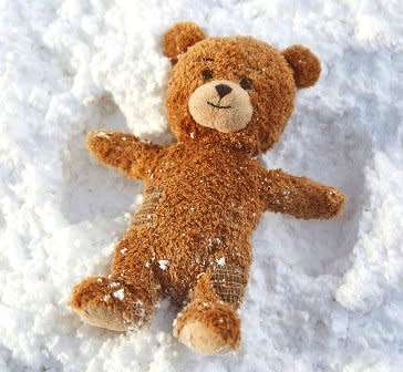 Max the Cute Migros Bear!  Plush soft toy.  30cm.