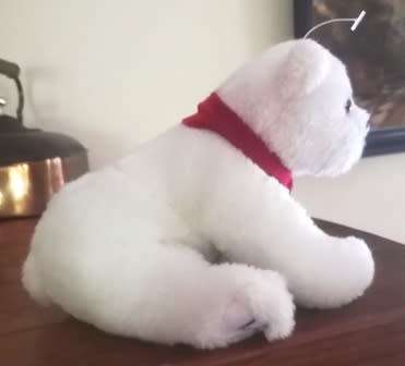 Collectable Coca-Cola Bear! 20cm.