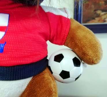 Leo the No 7 England Football Mascot! Lion Soft Toy!  30cm.