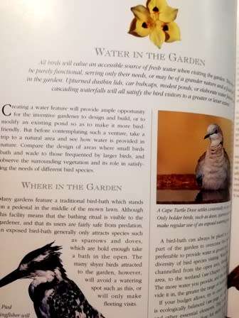 Attracting Birds to your Garden in Souther Africa by Roy Trendler Lex Hes. Large Hardcover.