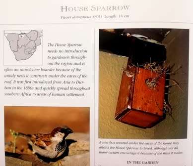 Attracting Birds to your Garden in Souther Africa by Roy Trendler Lex Hes. Large Hardcover.