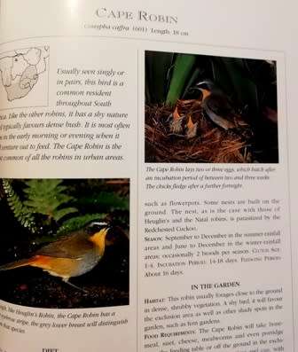 Attracting Birds to your Garden in Souther Africa by Roy Trendler Lex Hes. Large Hardcover.