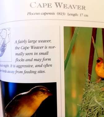 Attracting Birds to your Garden in Souther Africa by Roy Trendler Lex Hes. Large Hardcover.