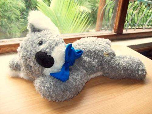 Kuku the Koala Bear - Soft Toy - 35cm