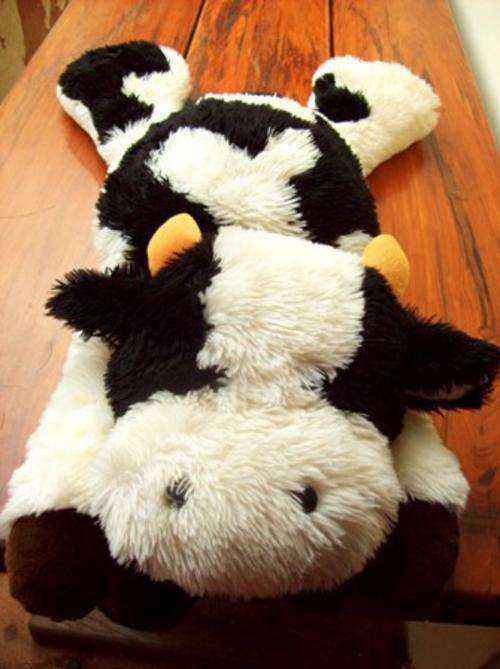 Daisy the Cow - Soft Toy - Sale!!