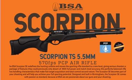 BSA SCORPION TS PCP COMBO(AIR RIFLE 5.5MM/ .22) RETAIL OF R15,816!!