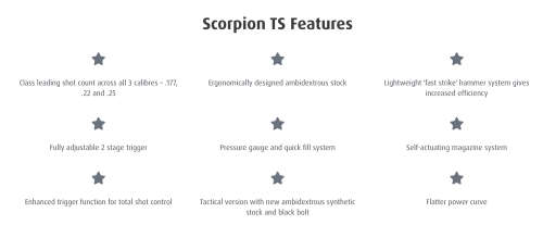 BSA SCORPION TS PCP COMBO(AIR RIFLE 5.5MM/ .22) RETAIL OF R15,816!!