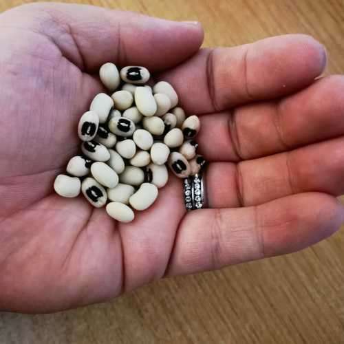 Bean Black Eye Cowpea Organic - 15 Seeds