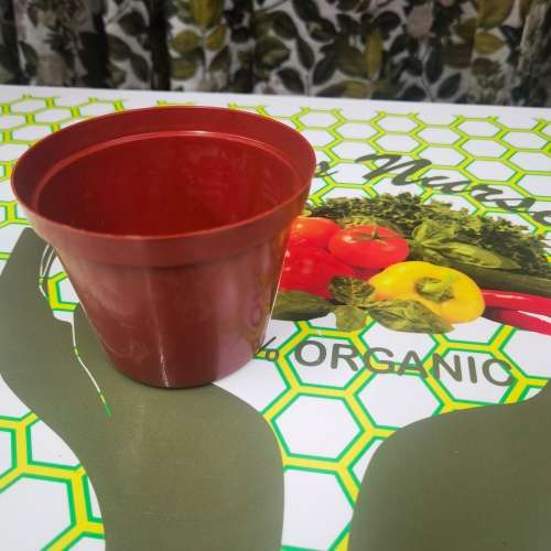 Terracotta Brown Plastic Round Planting Pot 12cm
