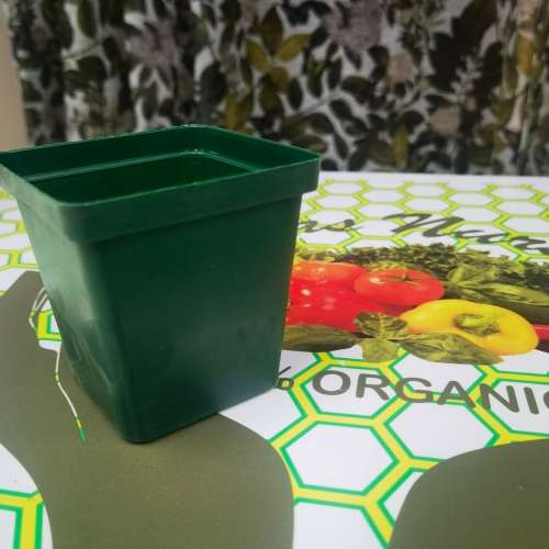 Green Square Planting Pot 10cm