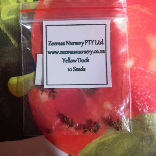 Yellow Dock (10 Seeds)