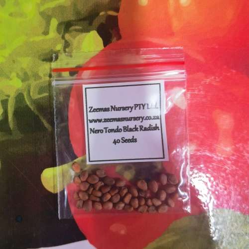 Radish Nero Tondo Black Organic - 40 Seeds