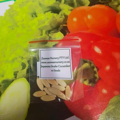 Cucumber Japanese Snake (10 Seeds)