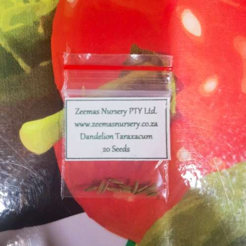 Dandelion Taraxacum Organic - 20 Seeds