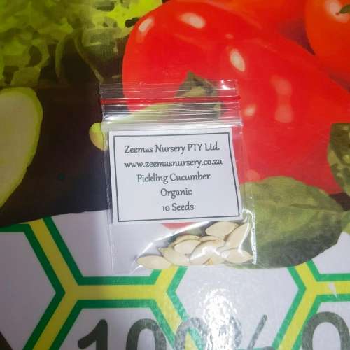 Cucumber Pickling Organic - 10 Seeds