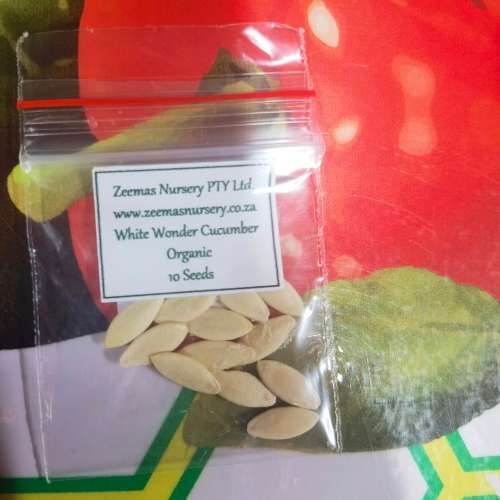 Cucumber White Wonder Organic - 10 Seeds