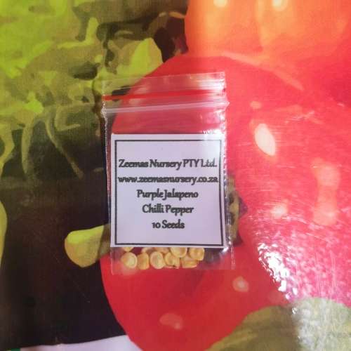 Chilli Pepper Purple Jalapeno Organic - 10 Seeds
