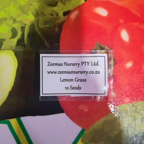 Lemon Grass Organic - 10 Seeds