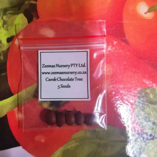 Chocolate Carob (Ceratonia Siliqua) Tree - 5 Seeds