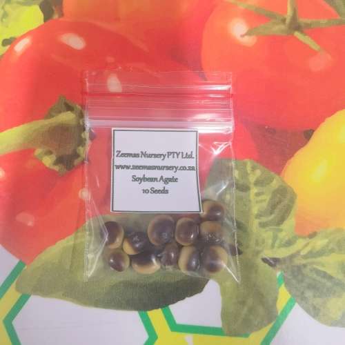Soybean Agate (10 Seeds)
