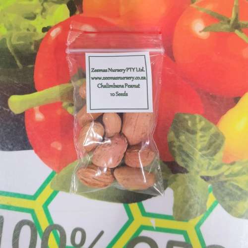 Peanuts Chalimbana (10 Seeds)
