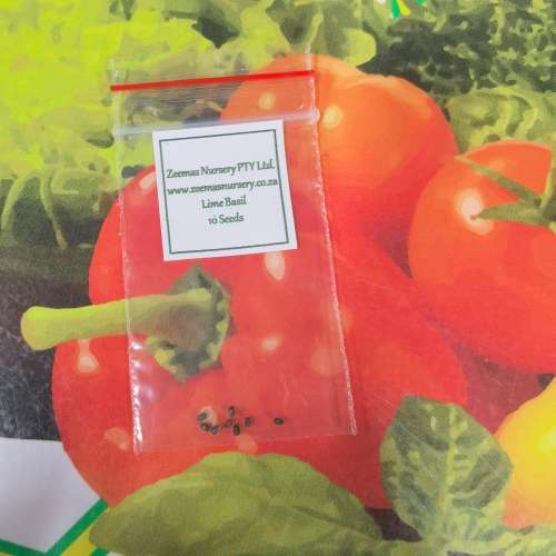 Lime Basil (10 Seeds)