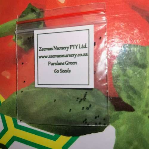 Purslane Green (60 Seeds)