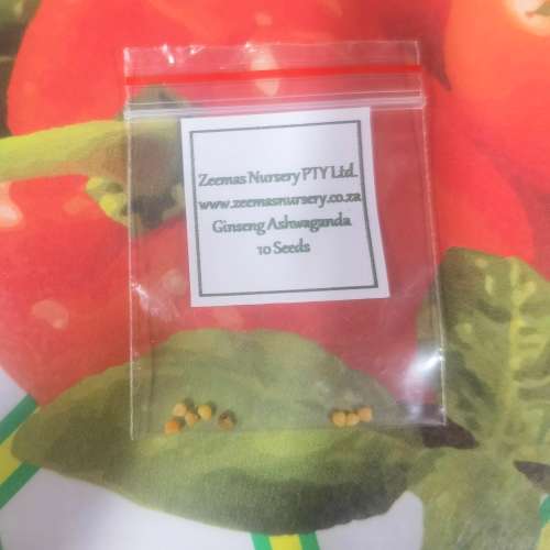 Ginseng Ashwagandha (10 Seeds)
