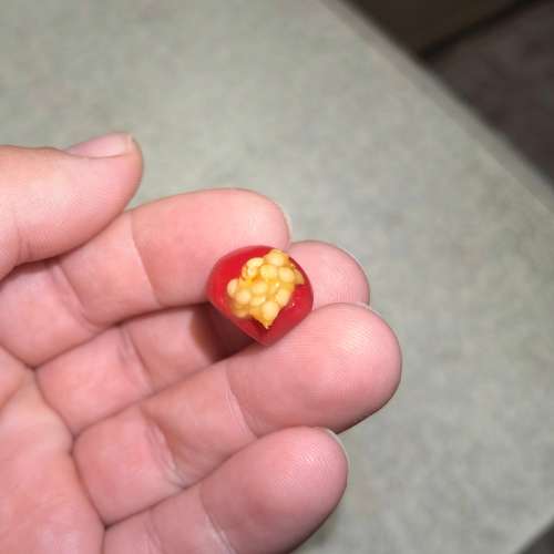 Lychee Tomato (10 Seeds)