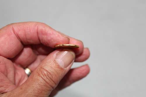 Gold half Pond 1895....details below