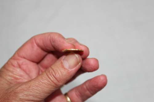 Gold half Pond 1895....details below