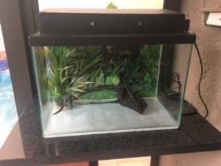 Fish Tank and Accessories (Starter Kit)  30L