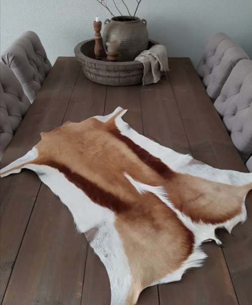 SPRINGBOK HIDE   (  FREE DELIVERY )
