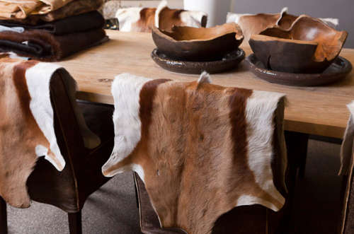 SPRINGBOK HIDE   (  FREE DELIVERY )