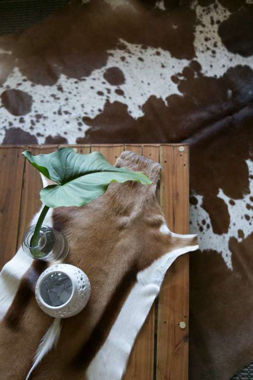 SPRINGBOK SKIN    NATURAL  (   FREE DELIVERY  )