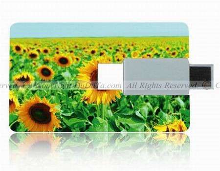Credit Card USB Flash Drive 8G USB Flash Memory, CRAZY!!!!