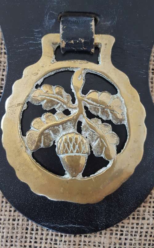 TWO HORSE BRASSES ON A LEATHER STRAP