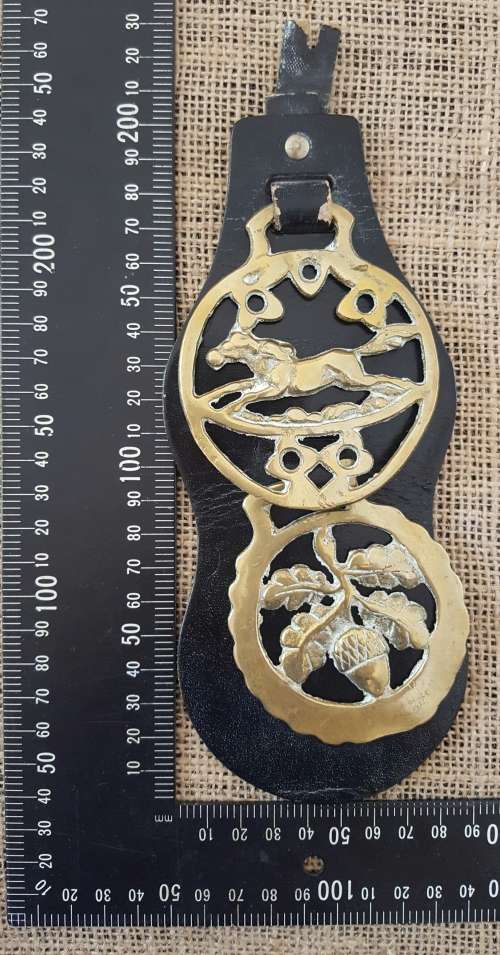 TWO HORSE BRASSES ON A LEATHER STRAP