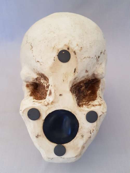 Super Cool Ceramic Life Size Human Skull Moneybox