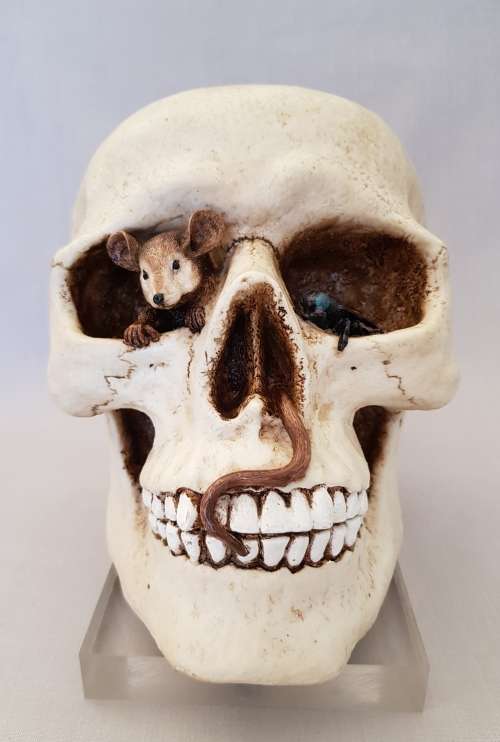 Super Cool Ceramic Life Size Human Skull Moneybox